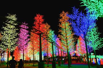 i-City Snow Walk in Shah Alam With Putrajaya Sightseeing from Kuala Lumpur