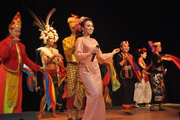 Malaysia Cultural Dinner Show with Dinner and Short Night Tour