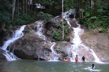 Selangor Templers Nature Park with Waterfalls and KL Central Market to see Cultural Shows and Souvenirs and Visit Ostrich Farm - Feeding - Riding - Picking Up Ostrich Eggs