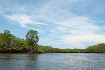 Jiquilisco Bay