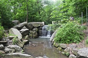 Central Park: Northern Edition