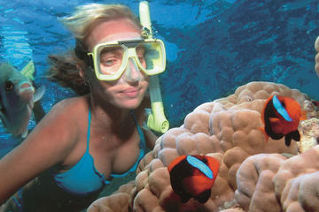 Wave Break Island Snorkel Tour on the Gold Coast