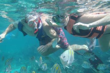 Platinum Snorkeling Catamaran Excursion with Open Bar