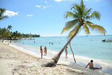 Saona Island Beach Day