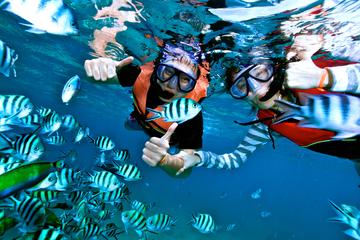 Hon Mun Island Half-Day Snorkeling Guided Tour from Nha Trang