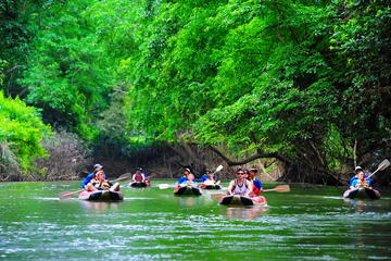 Full-day Khao Sok National Park and Canoe Excursion from Phuket
