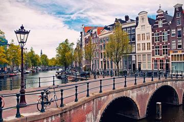 Vegan food tour experience in Amsterdam