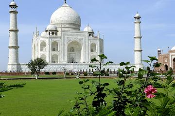 Taj Mahal Private Tour