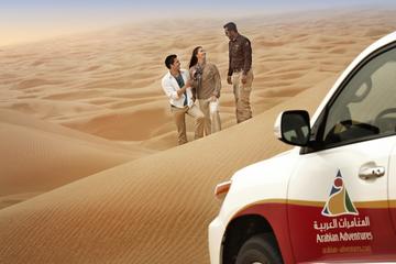Half-Day Dubai Desert Winter Morning Dune Drive from Dubai