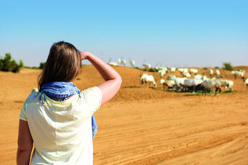Nature Trails Safari in the Dubai Desert Conservation Reserve