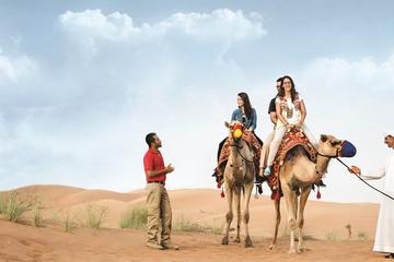 Winter Morning Camel Trek