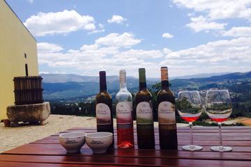 Vinho Verde Route 4x4