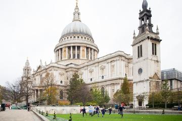 Private London Tour with Guard Change and St Pauls Cathedral