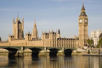 Total London Experience - Private Guided Tour by Minibus