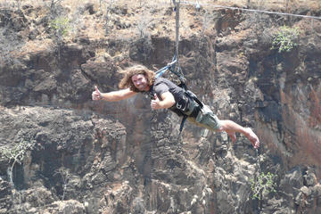 Flying Fox