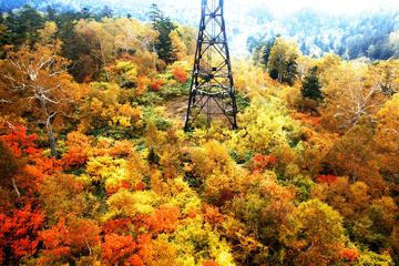 Autumn Hokkaido! Kurodake Ropeway and Ginga Ryusei Falls