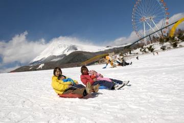 Full-Day Cruise, Sledding and Gotemba Outlet Tour from Tokyo