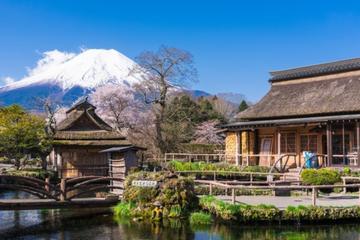 Full Day Mt. Fuji 5th Station Tour With Shopping at Gotemba Premium Outlets