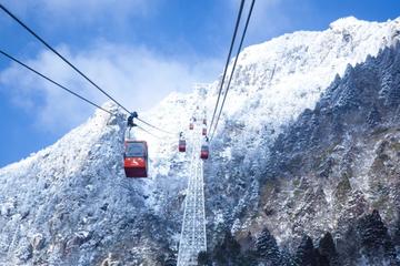 Gozaisho Ropeway with Frozen Tree   Watch the Illumination Show at Nabana no Sato