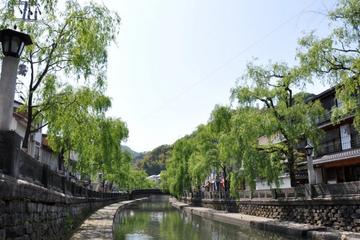 Kinosaki Hot Spring with Delight Crab Dishes