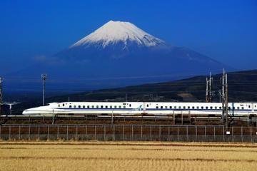 Mishima Skywalk, Odawara Flower Garden, and Lake Ashi Return by Bullet Train