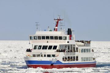 Ride on the Icebreaker AURORA Cruise One Day Bus Tour