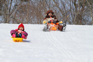 Ski Resort Sledding and Strawberry Picking Day Trip including Crab Lunch Buffet