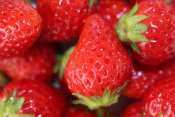 World Heritage Nikko, Picking Strawberry and Strawberry Dessert All-You-Can-Eat