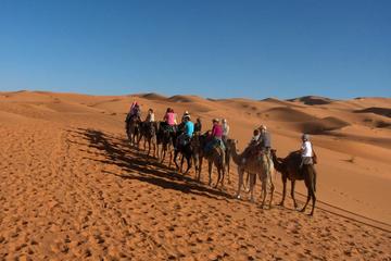 2 days 1 night Trip to Desert From Marrakech
