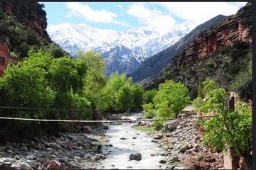 Kingdom of Tours and Excursions Full day tour to Imlil