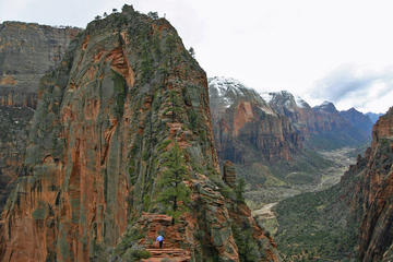 Day Trip to Zion National Park from Las Vegas