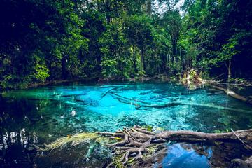 Krabi Emerald Pool, Hot Spring and Tiger Temple