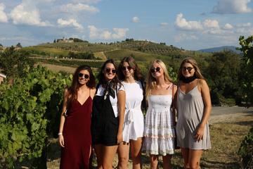 Half-day Wine Tasting Trip to Chianti with Guide from Florence