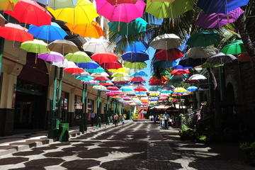 Guided Cultural City Tour of North Mauritius with Botanical Garden Visit
