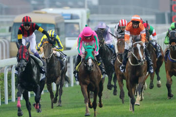 Horse Racing in Mauritius