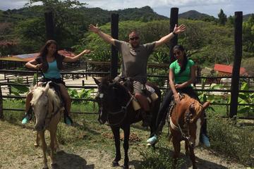 Amber Cove Excursion: Horseback Ride and Tropical Garden Tour