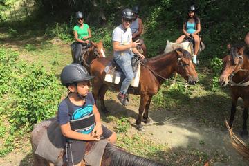Amber Cove Excursion: Horseback Ride at Rancho Los Cacaos