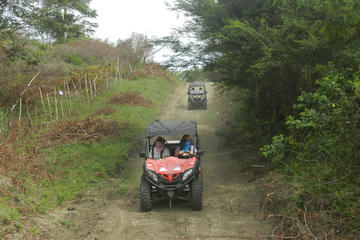 Buggy Adventures by Rancho Los Cacaos