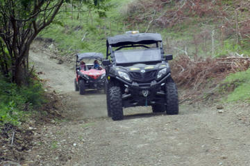 Horseback Riding and Buggies Adventure