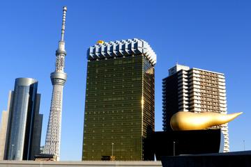 Private Custom Tokyo Tour