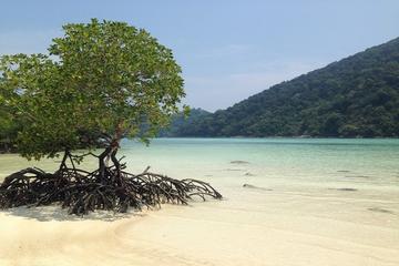 ISLAND HOPPING IN KOH SURIN-KOH SIMILAN-KOH TACHAI 5DAYS