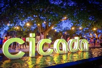 Pranburi Forest Park, Cicada Market Full-Day Tour in Hua Hin with Mangrove Walk