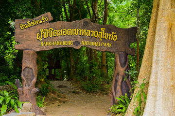 Sukhothai Camping At Ramkhamhaeng National Park 3D2N