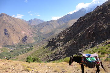 High Atlas Mountain Private Guided Day Tour from Marrakech