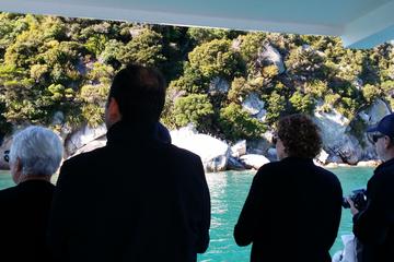 Experience the Abel Tasman Area by Land and Sea