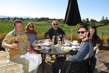 Half Day Wine Tour