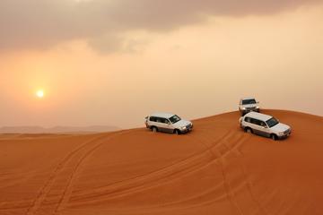 Dubai Desert Experience with BBQ Dinner, Camel Ride, and Shows