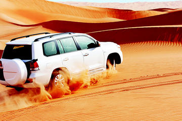 Dubai Red Dunes Safari: BBQ dinner, Sandboarding, Falcon & Camel