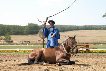 Godollo Palace and Magic Hungary Horse Show from Budapest
