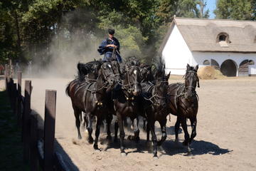 Kecskemét, Puszta Plains, and Horse Show Tour from Budapest